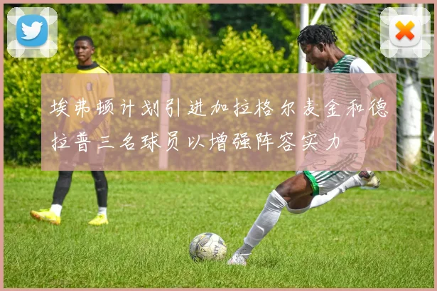 埃弗顿计划引进加拉格尔麦金和德拉普三名球员以增强阵容实力