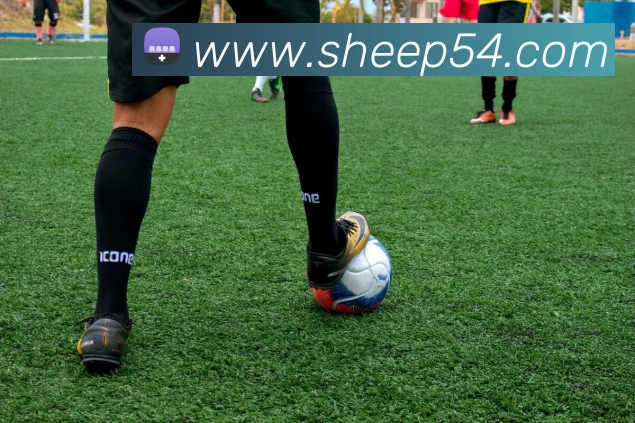 高清赛事解说